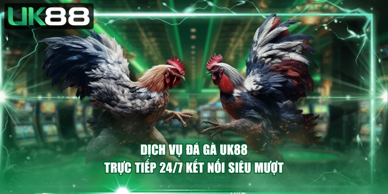 Dịch vụ đá gà UK88 trực tiếp 24/7 kết nối siêu mượt